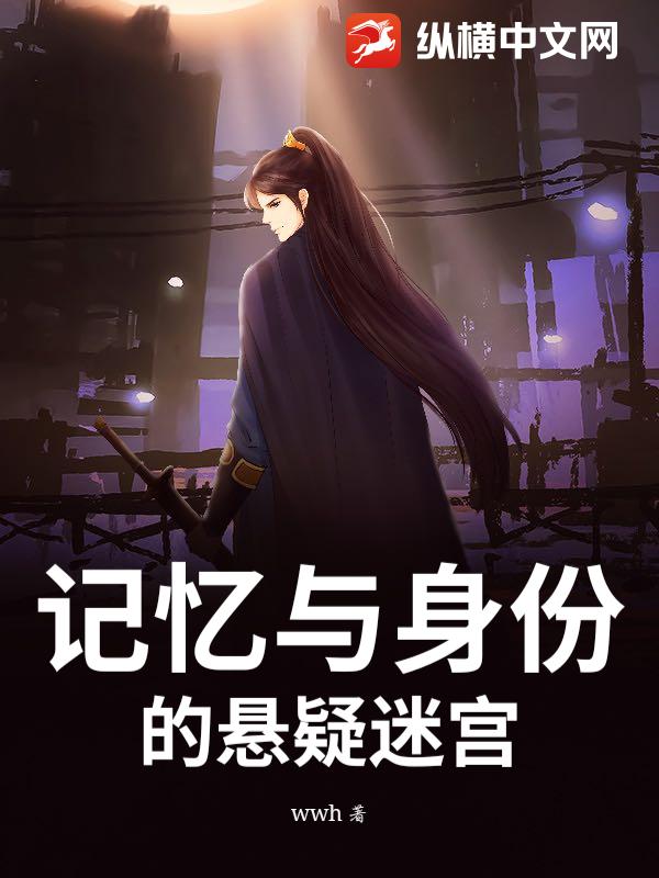 记忆与身份的悬疑迷宫