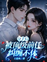 分手后,被顶级前任纠缠不休