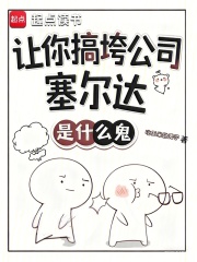 让你搞垮公司,塞尔达是什么鬼?