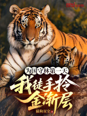 为国守林第一天,我徒手拎金渐层