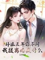 外派三年你不问,我提离婚疯什么?