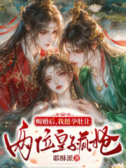 赐婚后,我挺孕肚让两位皇子疯抢