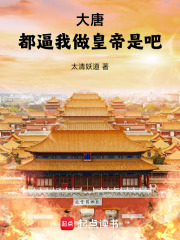 大唐:都逼我做皇帝是吧!