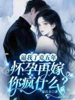 逼我丁克五年,怀孕再嫁你疯什么